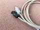 modular plug